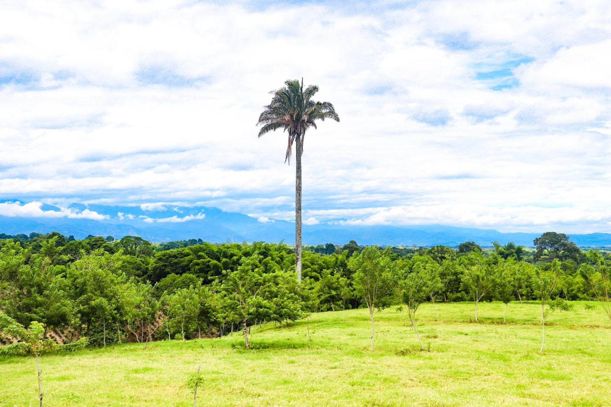 Hotel Quindio Campestre Montenegro Kültér fotó